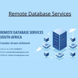 The Benefits of Remote Database Services in South Africa