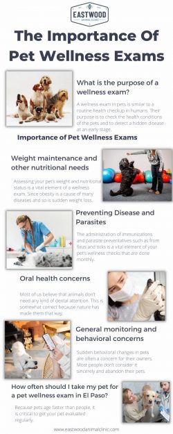 The Importance Of Pet Wellness Exams