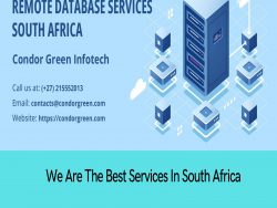 The Remote Database Services In South Africa Change The World