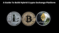 Build Your Hybrid Crypto Exchange Platform