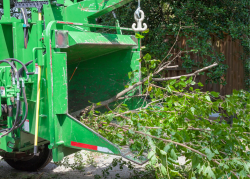 Tree Removal Wichita KS – Tree Surgeons of Wichita
