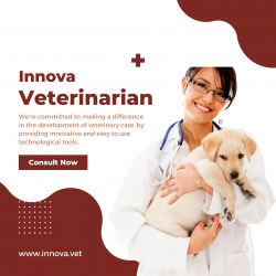 Find A Vet In Lagos