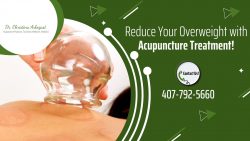 Weight Loss Acupuncturists in St. Cloud