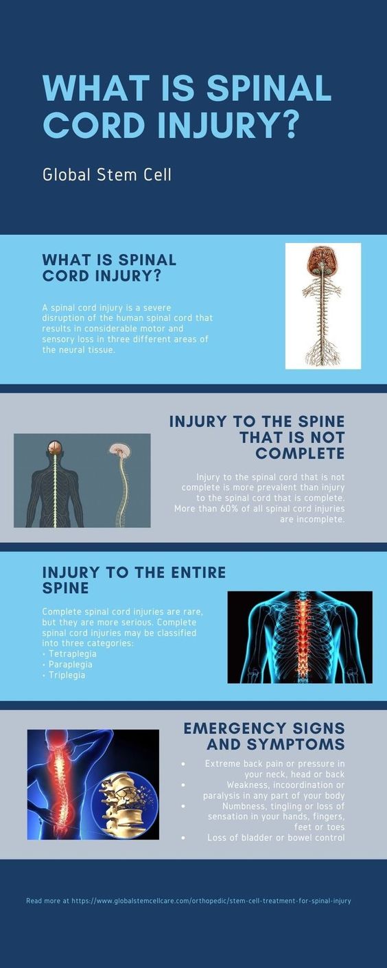 What is Spinal Cord Injury