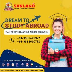Is Study Abroad Your Dream?