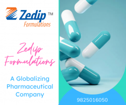 Zedip Formulations – A Globalizing Pharmaceutical Company