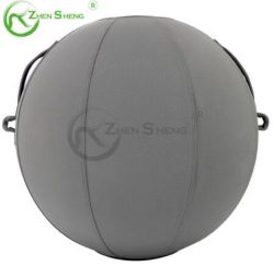 Yoga Ball Cover for Sale
