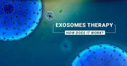 What You Should Know About Exosome Therapy?