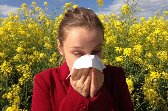 Grass Pollen Allergy Immunotherapy Treatment