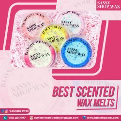 Best Scented Wax Melts
