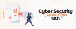 Cyber Security Courses after 12th