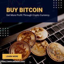 Pallapay is a fast-growing Bitcoin exchange in Dubai, UAE