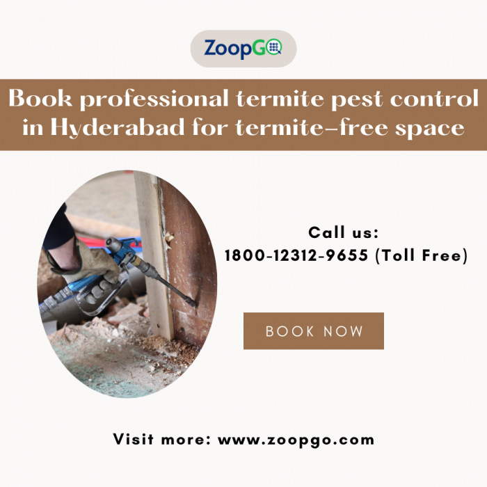 Book professional termite pest control in Hyderabad for termite-free space