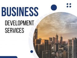 Get the Business Development Services