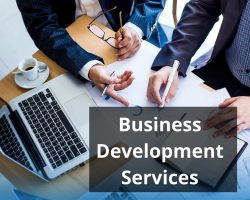 Business Development Services