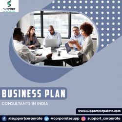 Business Plan Consultants in India