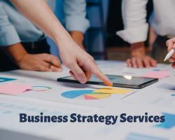 Business Strategy Services