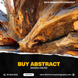Buy Abstract Images Online