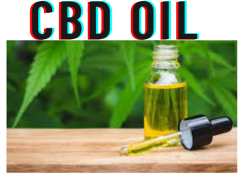 6 Books About Best CBD Oil You Should Read