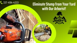 Commercial and Residential Tree Trimming Service
