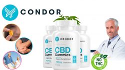 Condor CBD Gummies [Scam Alert] Official Review, Price, And Side Effects