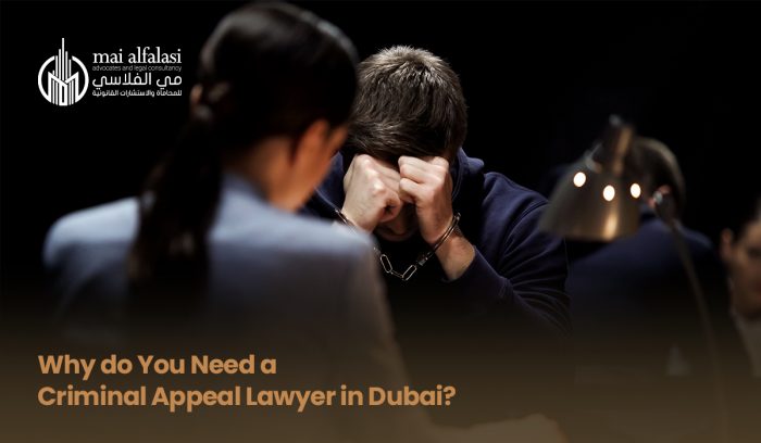 Why You Should Hire A Criminal Appeal Lawyer In Dubai