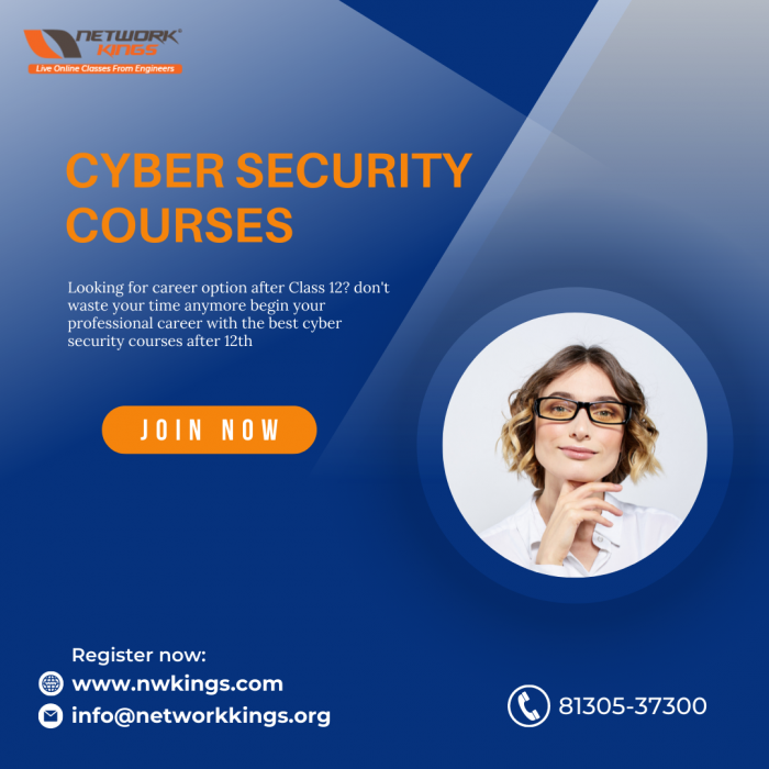 Cyber Security Courses after 12th by Network Kings