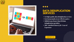 Data Deduplication Services