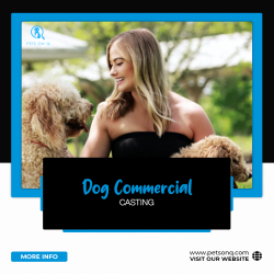 Dog Commercial Casting