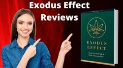Ingredients Used Of Exodus Effect?