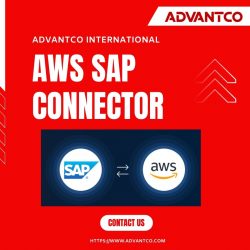 Aws Sap Connector Services – Advantco International