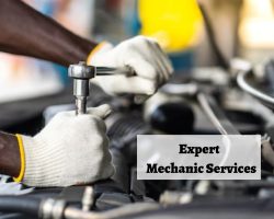 Top Motor Mechanic Services