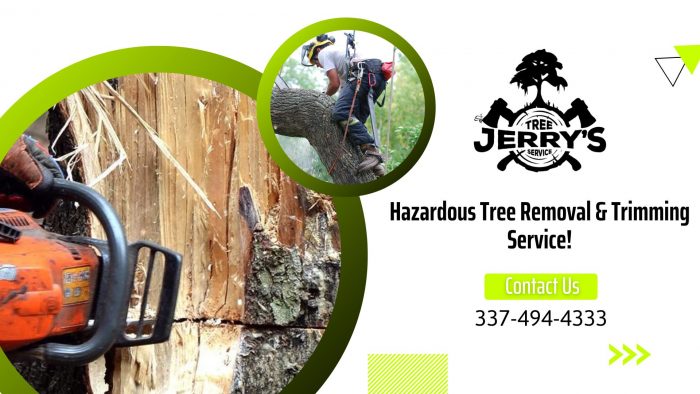 Find Tree Removal Service Near Lake Charles