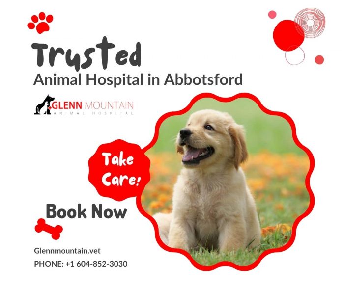 Animal Health Center Abbotsford ensures your pet’s health