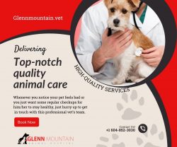 Are you looking for a local Vet in Abbotsford? Call us for more information