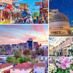 Heidi Blair San Jose – San Jose is a beautiful city