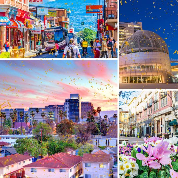 Heidi Blair San Jose – San Jose is a beautiful city