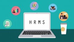 How does HRMS simplify Human resource management? A complete guide