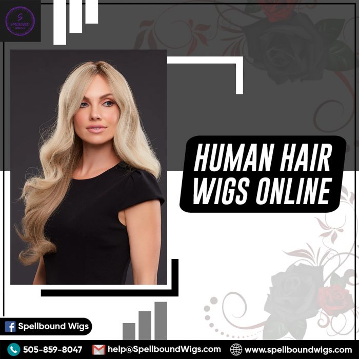 Human Hair Wigs online