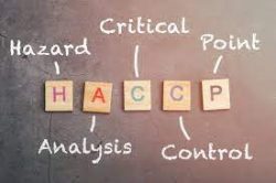 HACCP Food Safety Plan