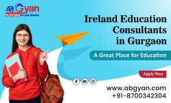 Top Courses That Guarantee a Job in Ireland