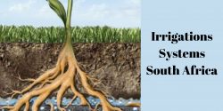 The Importance of Irrigation Systems in South Africa