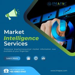 Market Intelligence Services | IMAPAC