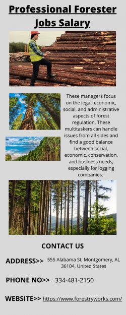 More Information About Professional Forester Jobs Salary