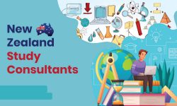 Top 5 New Zealand Scholarships for Indian Students