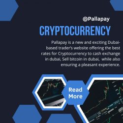Pallapay is Well Known for Bitcoin Services in Dubai