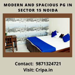Get the best PG in Sector 15 Noida