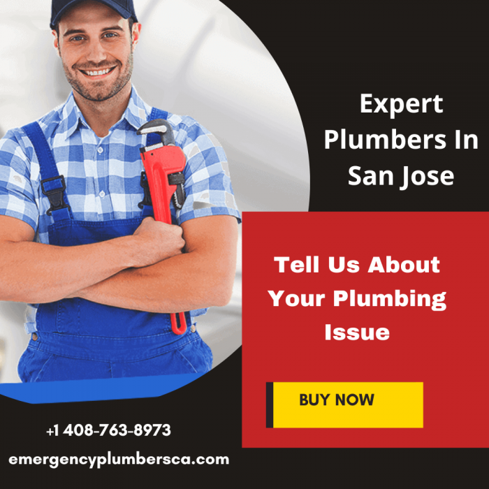 Expert Plumbers in San Jose