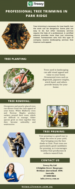 professional Tree Trimming in Park Ridge