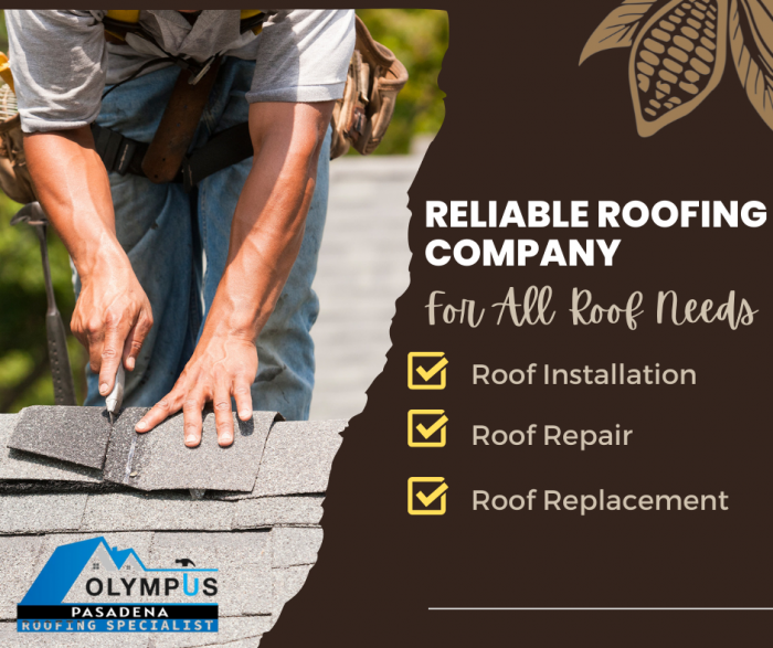 Reliable Roofing Company For All Roof Needs